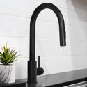 ZLINE Rubicon Pull Down Single Handle Kitchen Faucet in Matte Black (RBCN1-KF-MB)