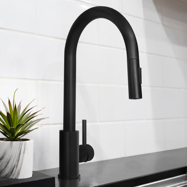 ZLINE Rubicon Pull Down Single Handle Kitchen Faucet in Matte Black (RBCN1-KF-MB)