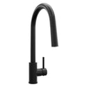 ZLINE Rubicon Pull Down Single Handle Kitchen Faucet in Matte Black (RBCN1-KF-MB)