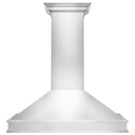 ZLINE 48" Designer Series Wall Mount Range Hood in Fingerprint Resistant Stainless Steel (8656S-48)