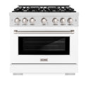 ZLINE 36 in. 5.2 cu. ft. Select Gas Range with 6 Burner Cooktop and Convection Gas Oven in DuraSnow® Stainless Steel with White Matte Door (HGRS-WM-36)