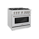 ZLINE 36 in. 5.2 cu. ft. Select Gas Range with 6 Burner Cooktop and Convection Gas Oven in DuraSnow® Stainless Steel (HGRS-36)