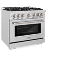 ZLINE 36 in. 5.2 cu. ft. Select Gas Range with 6 Burner Cooktop and Convection Gas Oven in Satin Stainless Steel (HGRS-36)