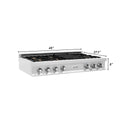 ZLINE 48 in. Legacy Gas Rangetop with 6 Brass Burners and Porcelain Cooktop in Stainless Steel (RT-BR-48)