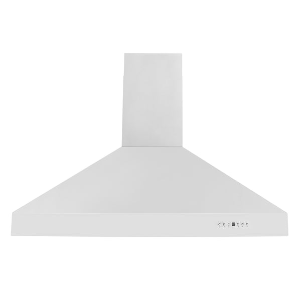 ZLINE Ducted Wall Mount Range Hood in Outdoor Approved Stainless Steel (697-304)