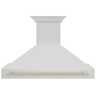 Buy gold ZLINE 48 in. Autograph Edition Stainless Steel Range Hood with Stainless Steel Shell and Accented Handle (8654STZ-48)