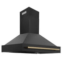 ZLINE 48" Black Stainless Steel Range Hood with Polished Gold Handle (BS655Z-48-G)