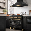 ZLINE 48 in. Autograph Edition Black Stainless Steel Range Hood with Handle (BS655Z-48)