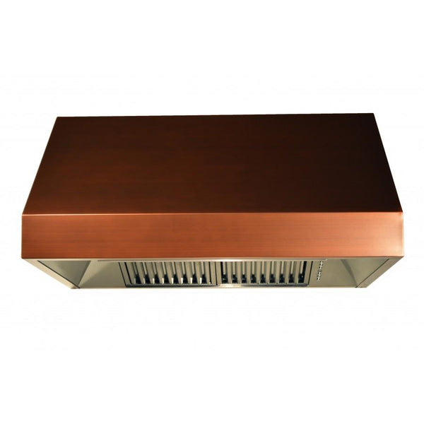 ZLINE 30 in. Designer Series Convertible Vent Under Cabinet Range Hood (8685C-30)