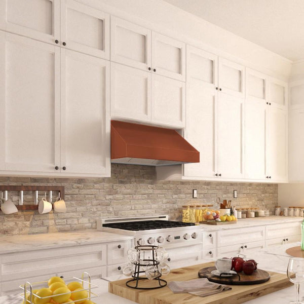 ZLINE 30 in. Designer Series Convertible Vent Under Cabinet Range Hood (8685C-30)