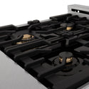 ZLINE 24 in. 2.8 cu. ft. Legacy Dual Fuel Range with Gas Cooktop and Electric Convection Oven in Satin Stainless Steel with 4 Brass Burners (RAS-SN-BR-24)