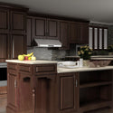 ZLINE 42 in. Ducted Under Cabinet Range Hood in Stainless Steel (619-42)