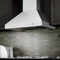 ZLINE 36 in. Outdoor Ducted Wall Mount Range Hood in Outdoor Approved Stainless Steel, Open Box-Good Condition