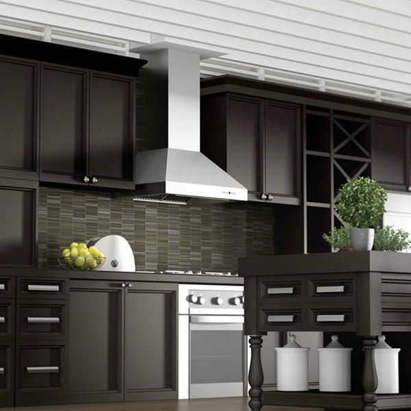 ZLINE 36 in. Professional Ducted Wall Mount Range Hood in Stainless Steel (667-36)