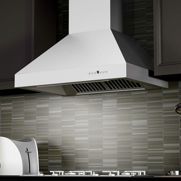 ZLINE 36 in. Professional Ducted Wall Mount Range Hood in Stainless Steel (667-36)