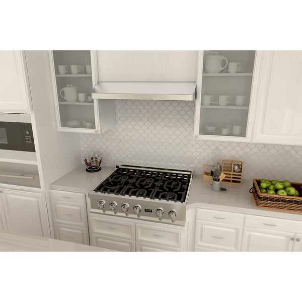 ZLINE Kitchen and Bath, ZLINE 617-30 Under Cabinet Range Hood in Stainless Steel, 617-30,